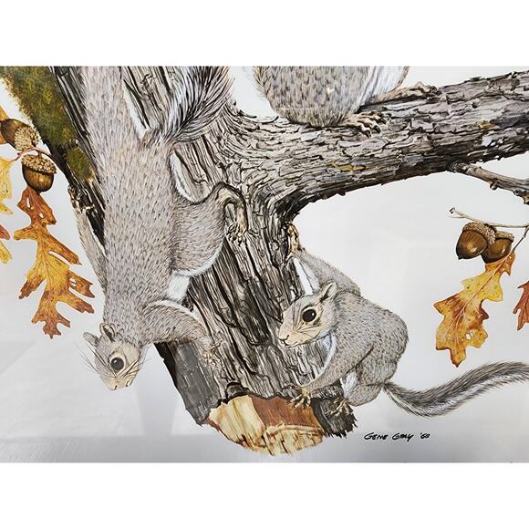 Gene Gray Signed Eastern Gray Squirrel Print 1st Ed Framed 1988 Wildlife Art - Picture 3 of 7